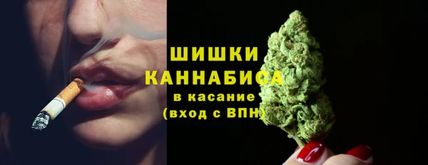 мдпв Горняк