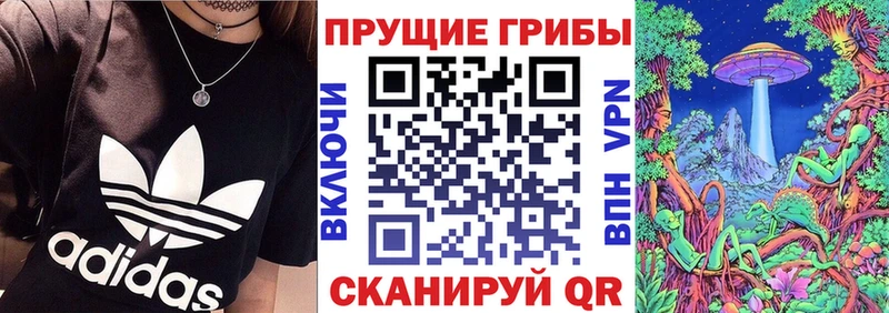 цена наркотик  Знаменск  Псилоцибиновые грибы мицелий 
